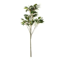 Osmanthus Stem by Ashland®