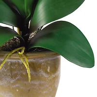 21" Moth Orchid Flower Arrangement in Ceramic Pot