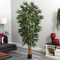 6ft. Potted Big Bamboo Tree 