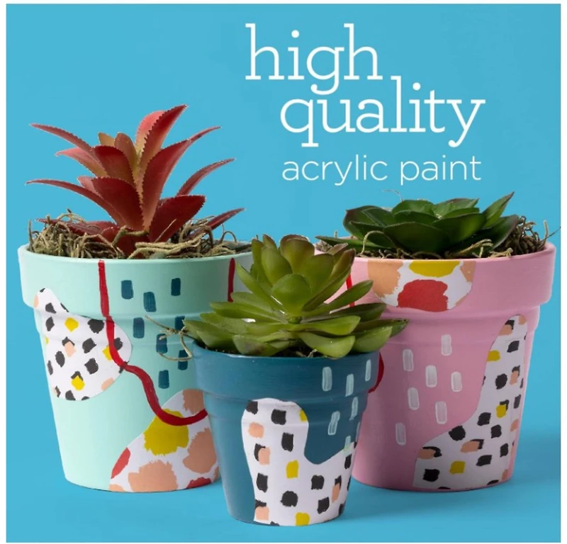 Apple Barrel® Acrylic Multi-Surface Satin Paints & Mod Podge 21 Piece Set