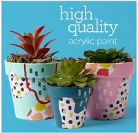 Apple Barrel® Acrylic Multi-Surface Satin Paints & Mod Podge 21 Piece Set