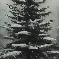 12" x 16" Black & White Snowy Tree Canvas Wall Décor by Ashland®