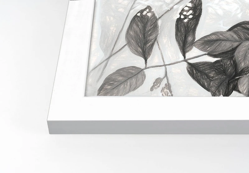 Charcoal Plants Wall Print in White Frame