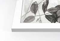 Charcoal Plants Wall Print in White Frame