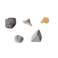 Thames & Kosmos I Dig It! Fossils Excavation Kit