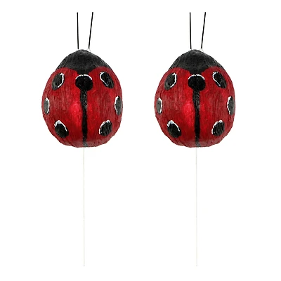 Ladybugs, 2ct. by Ashland®