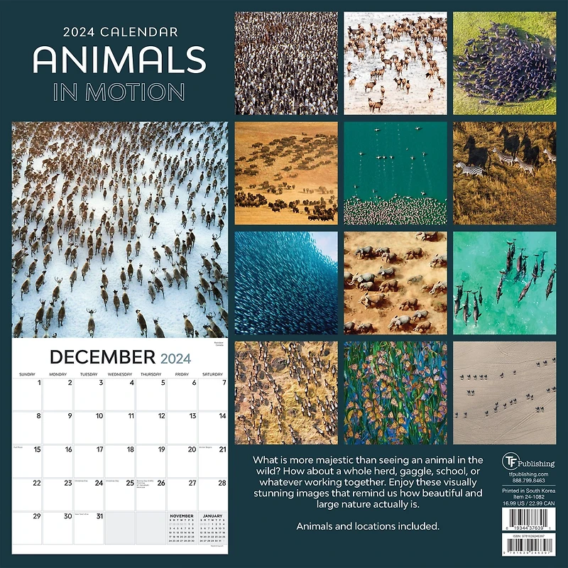 TF Publishing 2024 Animals in Motion Wall Calendar