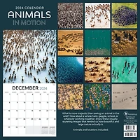 TF Publishing 2024 Animals in Motion Wall Calendar