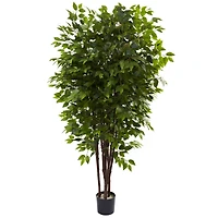 6.5ft. Potted Deluxe Ficus Tree