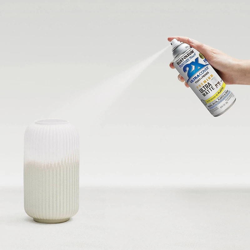 Rust-Oleum® Painter's Touch® 2X Ultra Matte Paint & Primer Spray