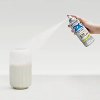 Rust-Oleum® Painter's Touch® 2X Ultra Matte Paint & Primer Spray