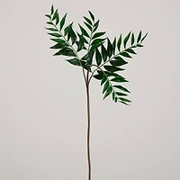 38" Green Palmate Fern Stems, 3ct.