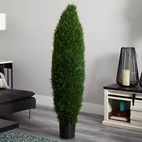 5ft. Potted Cypress Tree