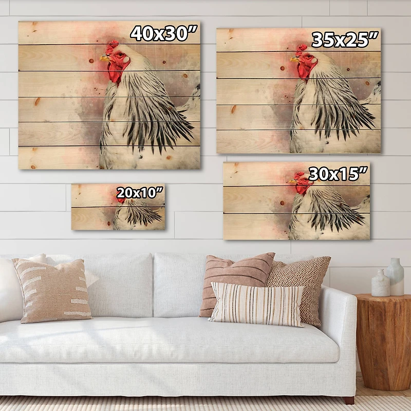 Designart - White Columbia Brahma Rooster Bird