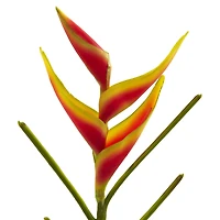 Heliconia Artificial Flower, 4ct.