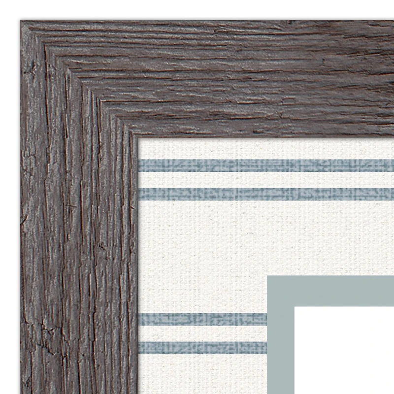 Snail & Olive Shell Western Framed Print