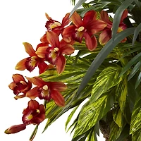 3ft. Mixed Tropical Greenery & Orchid Hanging Basket