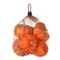 Orange Pumpkin Mix by Ashland®