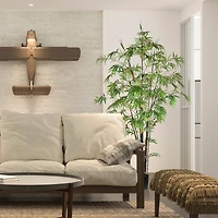 7ft. Potted Black Japanese Bamboo Tree