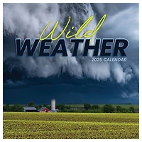 TF Publishing 2025 Weather Wall Calendar