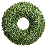 20" Green Soft Touch Sedum Wreath