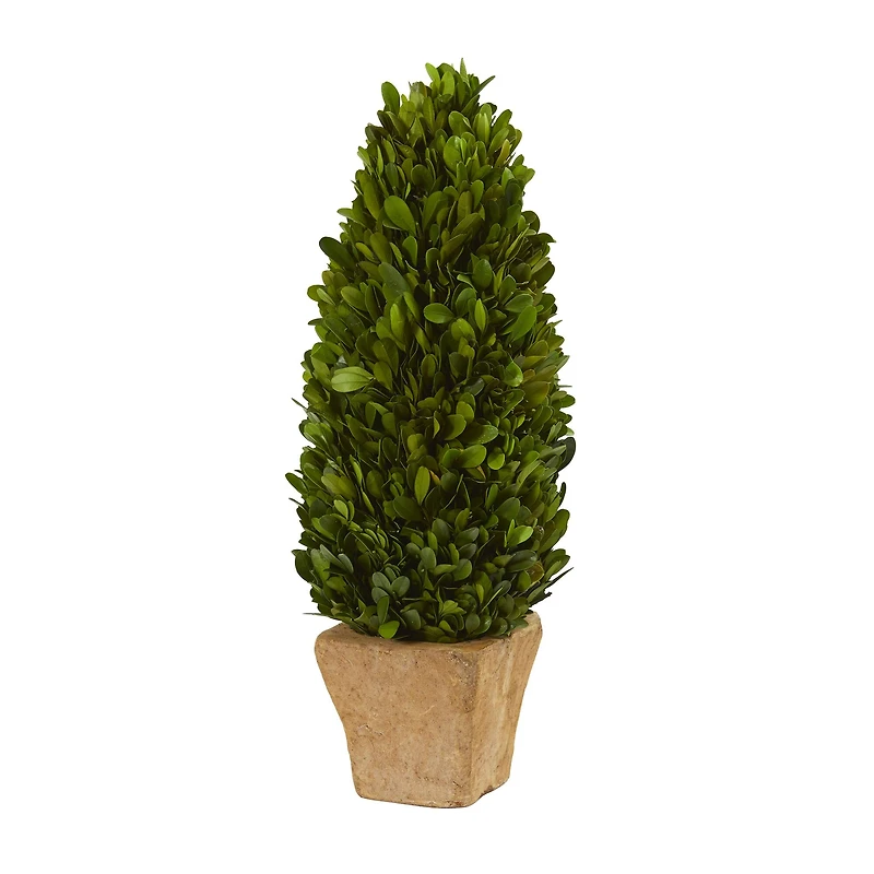 16in. Boxwood Cone in Tan Planter