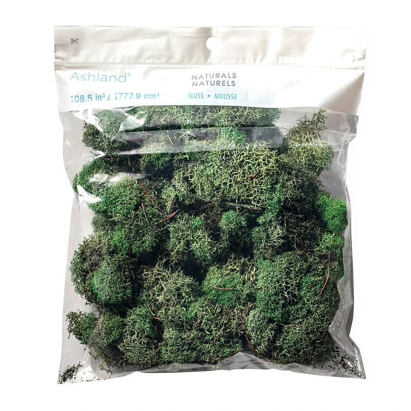 12 Pack: Basil Green Reindeer Moss by Ashland®