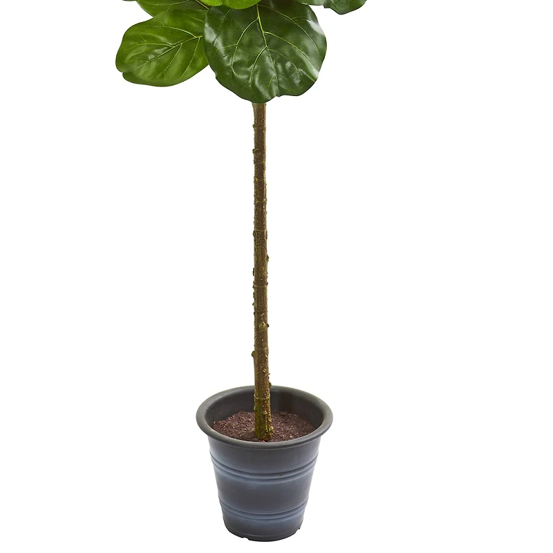 5ft. Fiddle Leaf Fig Tree with Decorative Planter