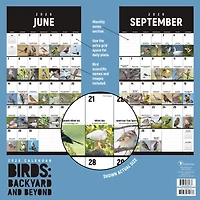 2026 Birds: Backyard and Beyond Wall Calendar