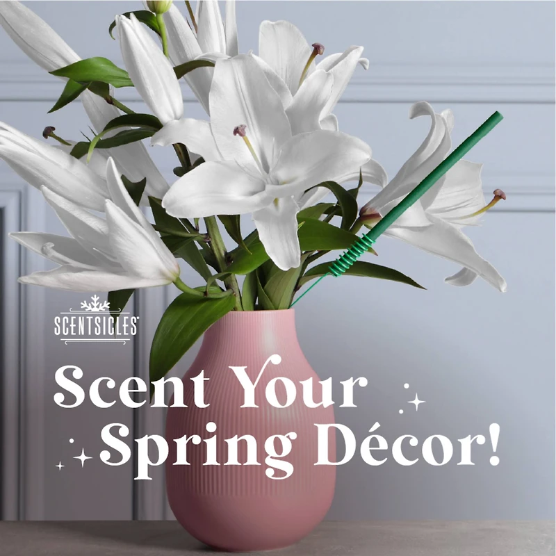 Scentsicles Stick Honeysuckle Rose and Scent Mister Honeysuckle Rose, 2 pack