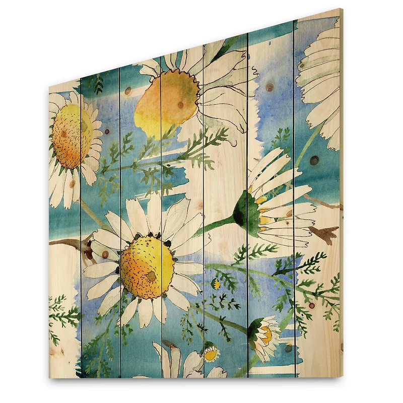 Designart - Wild Spring Chamomile Flowers
