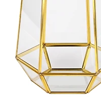 10.5" Glass Terrarium by Ashland®