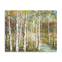 Warm Spice Birch Path Canvas Giclee