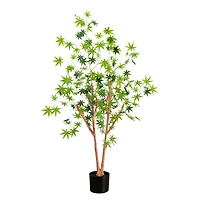 4ft. Potted Maple Tree