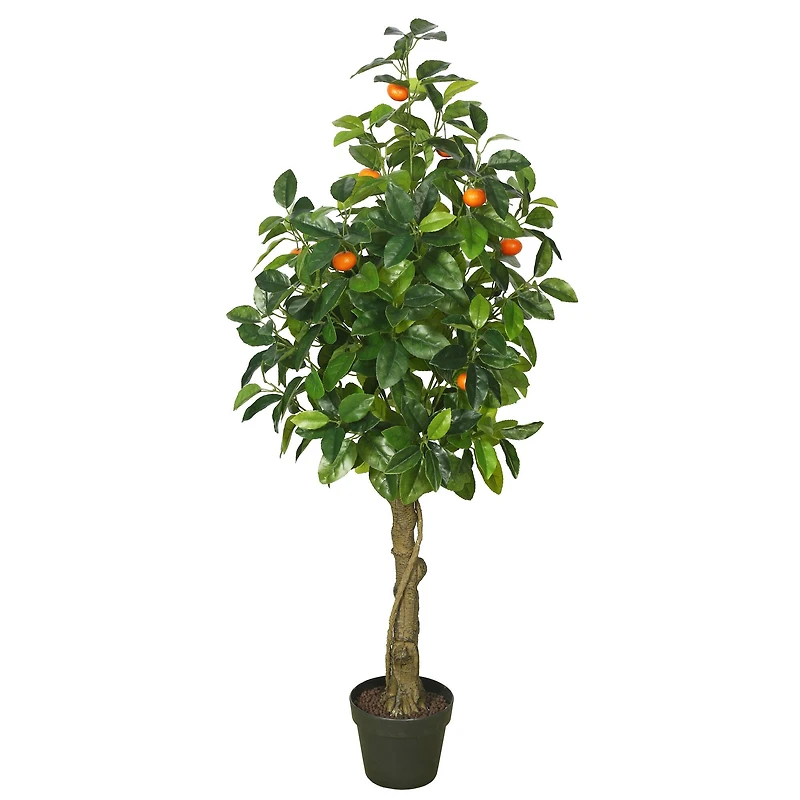 4ft. Potted Orange Tree