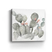 Cactus Garden Gray Blush I Canvas Giclee