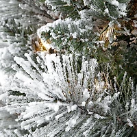 7.5ft. Pre-Lit Flocked Portland Pine Slim Artificial Christmas Tree, Clear Lights