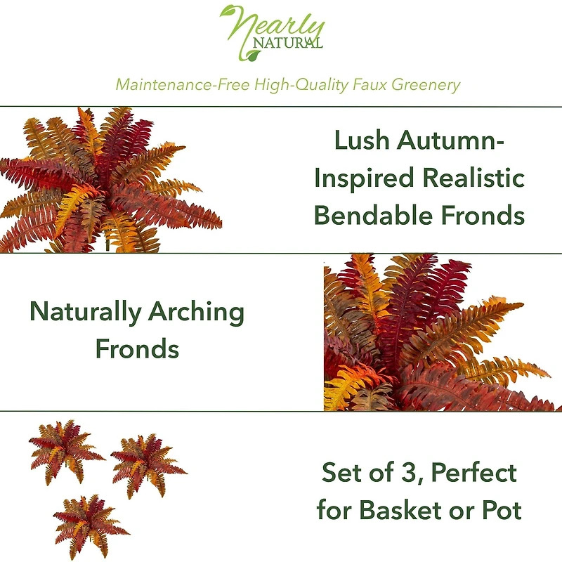 20" Autumn Boston Fern Bush, 3ct.