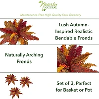 20" Autumn Boston Fern Bush, 3ct.