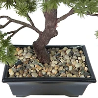 12" Potted Artificial Pine Bonsai Tree