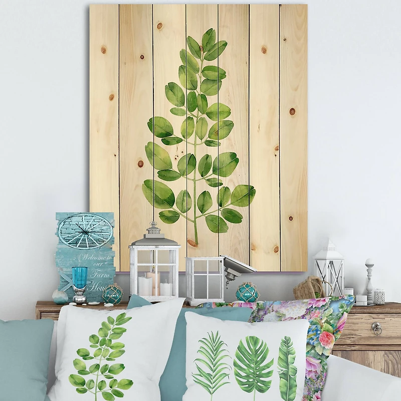 Designart - Moringa Branch Tropical Tree Foliage