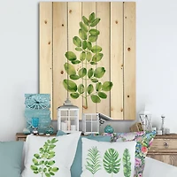 Designart - Moringa Branch Tropical Tree Foliage