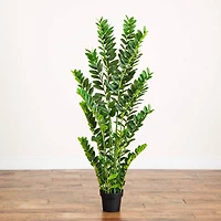 5ft. Artificial Zamioculcas Plant