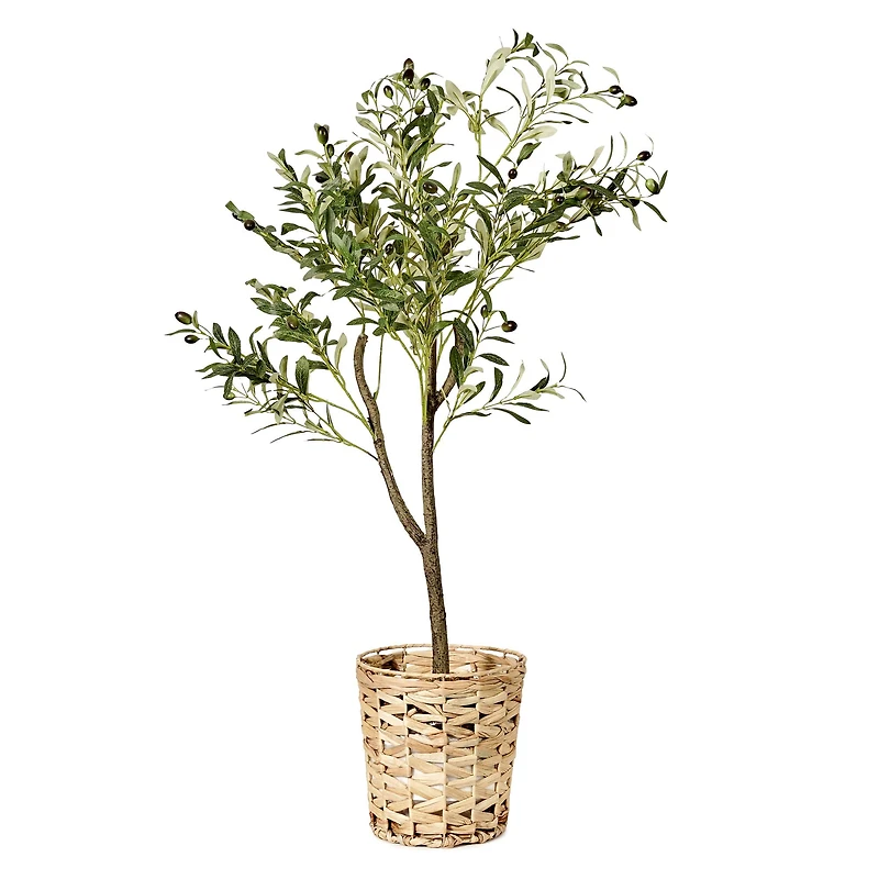 American Art Decor 4ft. Olive Tree in Woven Basket