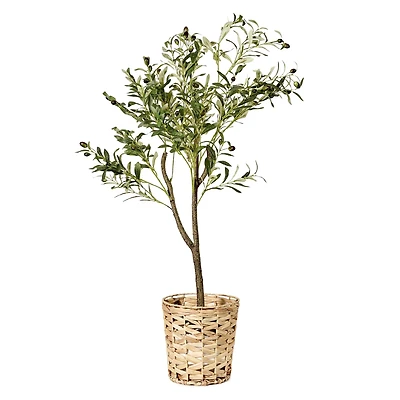 American Art Decor 4ft. Olive Tree in Woven Basket