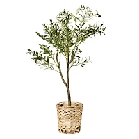 American Art Decor 4ft. Olive Tree in Woven Basket