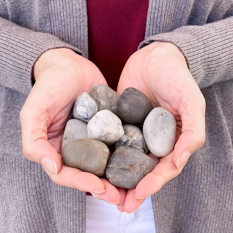 ArtSkills® Medium Decorative River Rocks