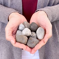 ArtSkills® Medium Decorative River Rocks