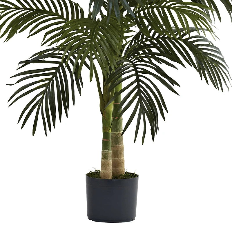 4ft. Potted Golden Cane Palm Tree