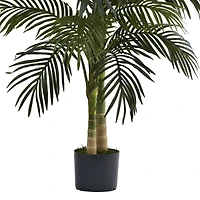 4ft. Potted Golden Cane Palm Tree